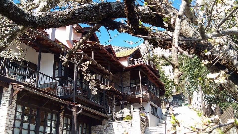 Hotel Xenonas Brizi Eláti Zewnętrze zdjęcie