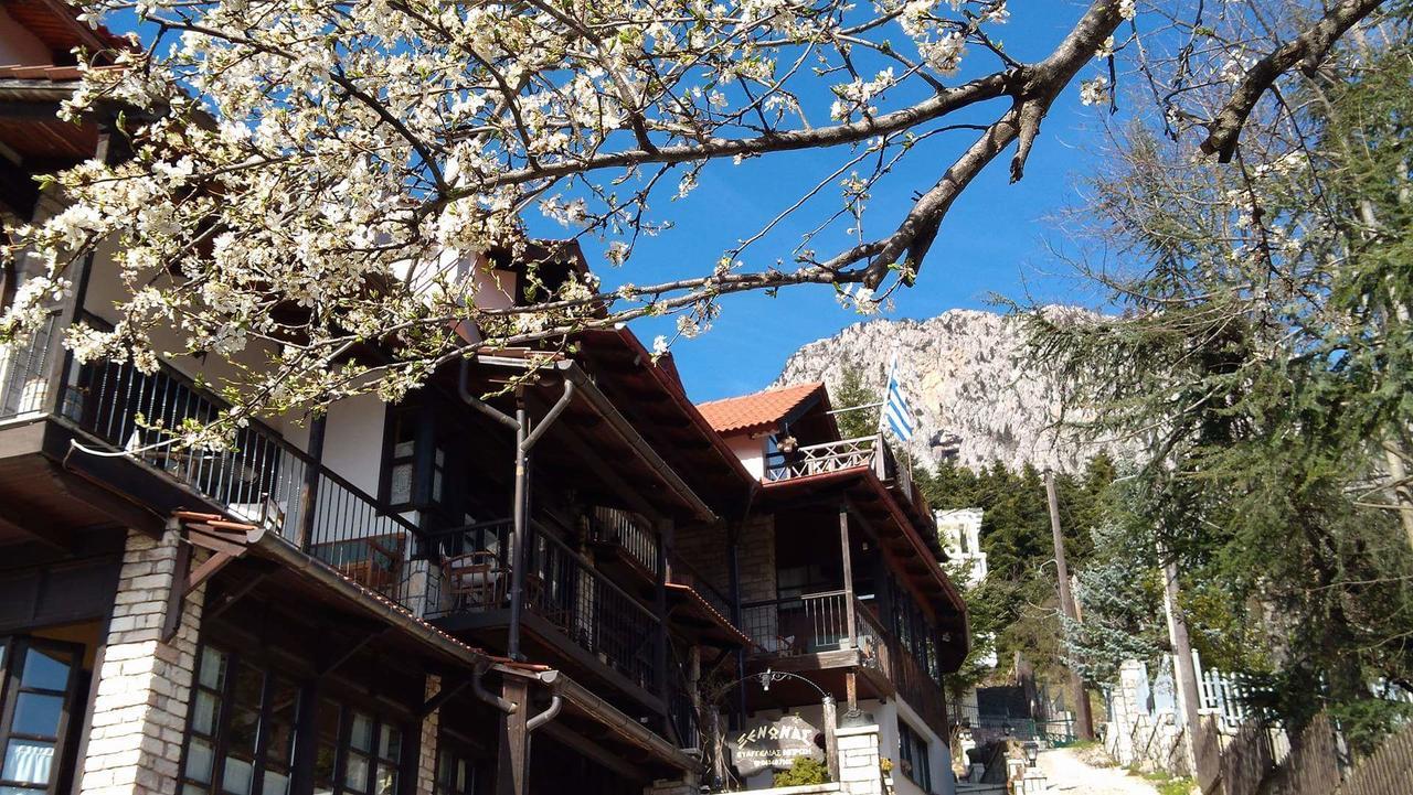 Hotel Xenonas Brizi Eláti Zewnętrze zdjęcie
